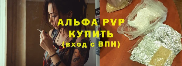 индика Богородицк