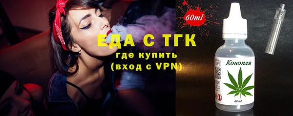 индика Богородицк