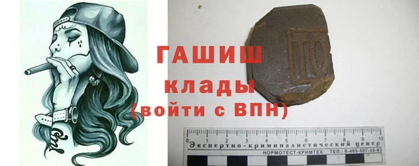 индика Богородицк