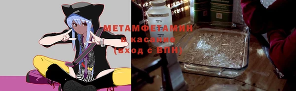 индика Богородицк