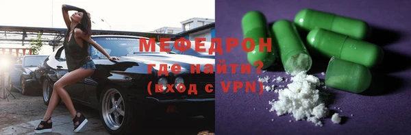 индика Богородицк