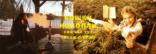 индика Богородицк