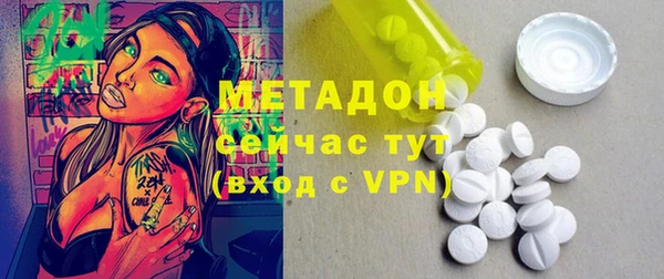 индика Богородицк