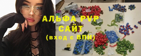 индика Богородицк