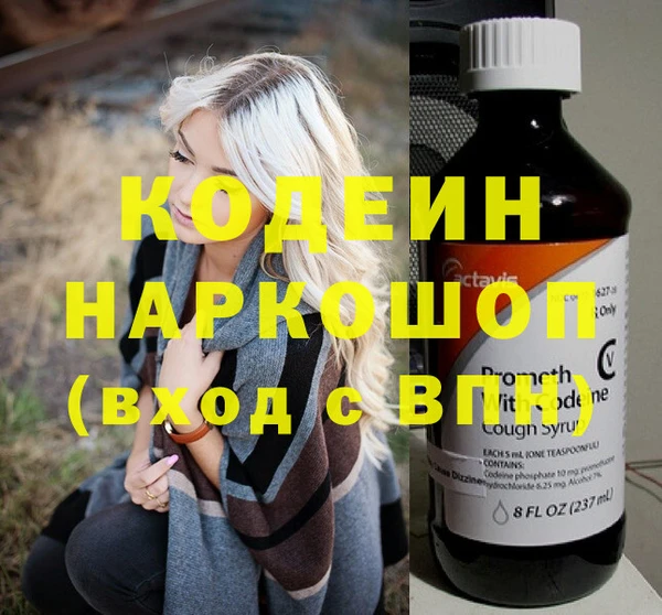 индика Богородицк