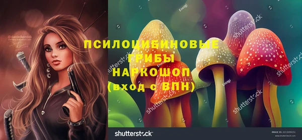 марки lsd Богородск