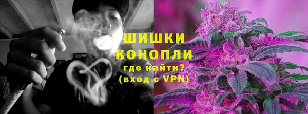 индика Богородицк