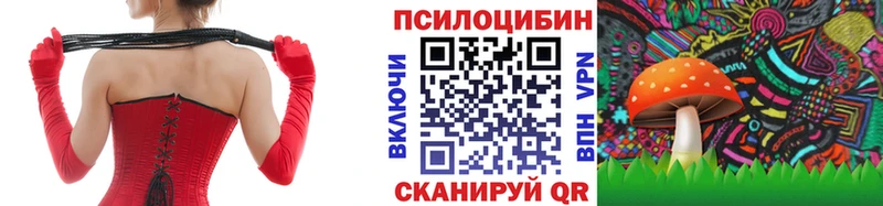 купить наркоту  Кедровый  Псилоцибиновые грибы Cubensis 